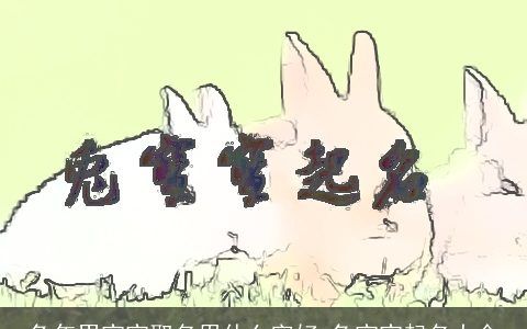 兔年男宝宝取名用什么字好 兔宝宝起名大全