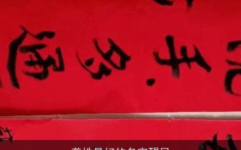 龚姓最好的名字醒目