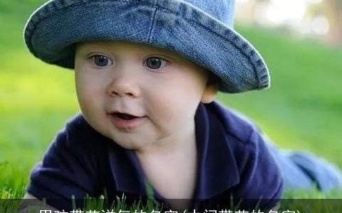 男孩带艺洋气的名字(中间带艺的名字)