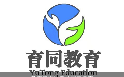 教育咨询注册公司起名字
