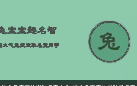 适合兔宝宝的男孩名字大全 适合兔宝宝的男孩子名字