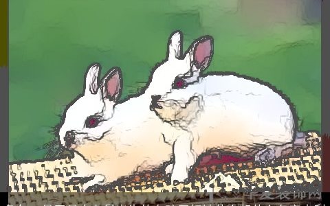 兔年一月正月十七日出生的女孩五行缺什么起什么名字吉利