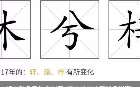 17画起名字的吉利字(笔画13画的字取名用字)
