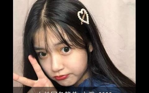 女性网名简单 文雅 2024