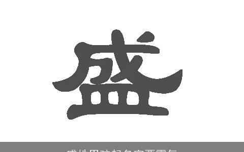 盛姓男孩起名字要霸气