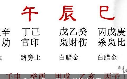 壬子日名人(庚子日最好的八字)