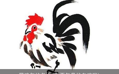 属鸡年的名人(辛酉年是的白鸡吗)