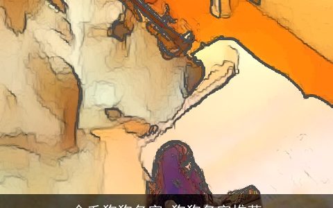 金毛狗狗名字 狗狗名字推荐