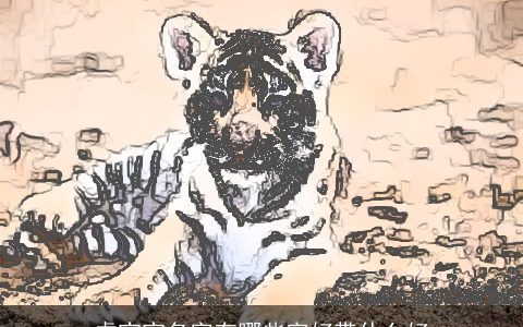 虎宝宝名字有哪些字好带什么好