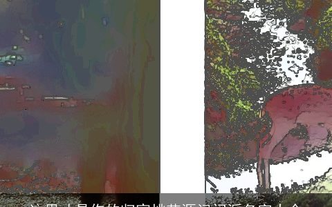 这里才是你的归宿桃花源记门派名字大全