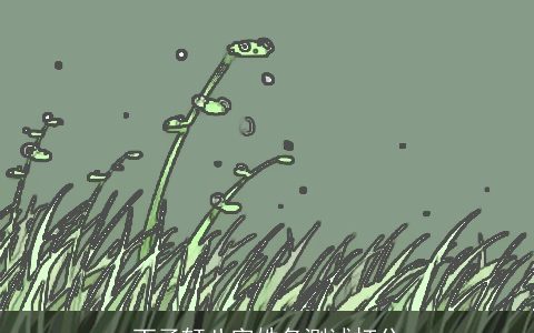 丁子轩八字姓名测试打分