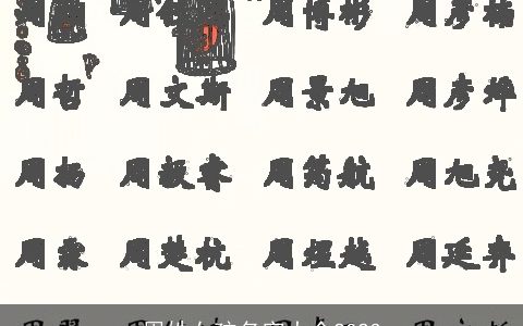 周姓女孩名字大全2024