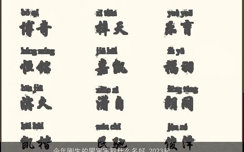 今年刚生的男宝宝取什么名好 2024起名大全推荐 好听洋气的男宝宝名字大全推荐