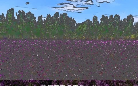 黄海花查名字多少分