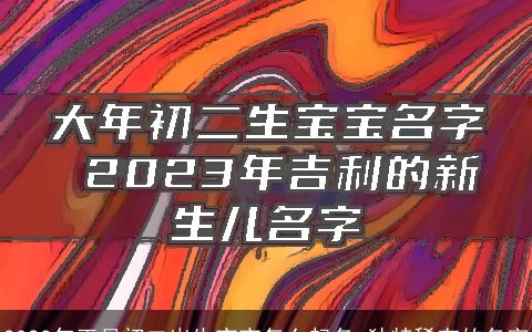 2023年正月初二出生宝宝怎么起名 独特稀有的名字