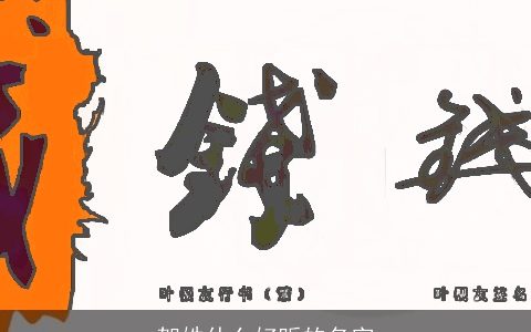 贺姓什么好听的名字