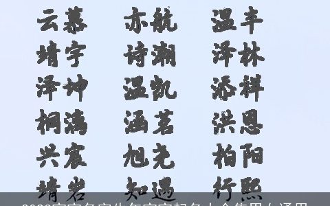 2024宝宝名字龙年宝宝起名大全集男女通用