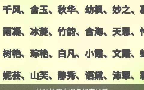 杺和枔哪个取名好有涵养