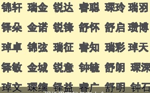 程姓男宝起名字大全