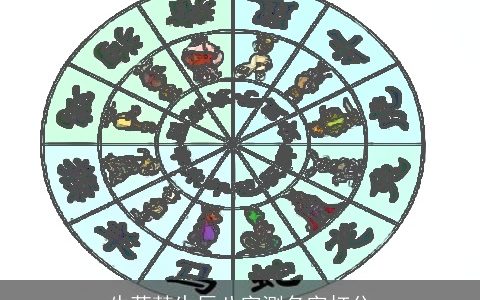 牛菀彗生辰八字测名字打分