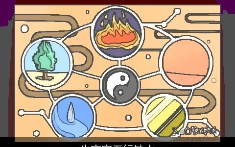 龙宝宝五行缺水