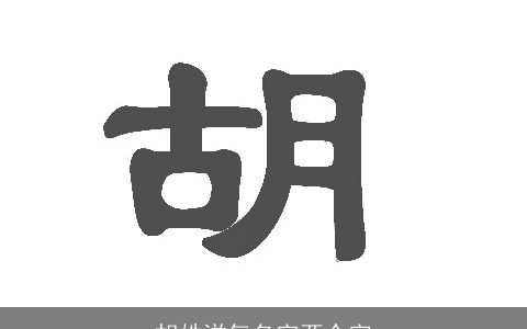 胡姓洋气名字两个字
