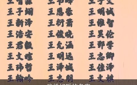 武姓好听的名字