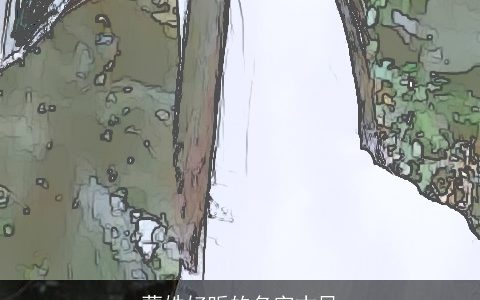 蒙姓好听的名字古风