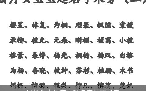 属性为木的字女孩名字的吉祥字