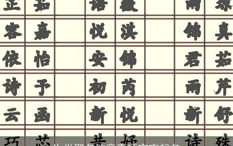 生肖取名注意事项宝宝起名