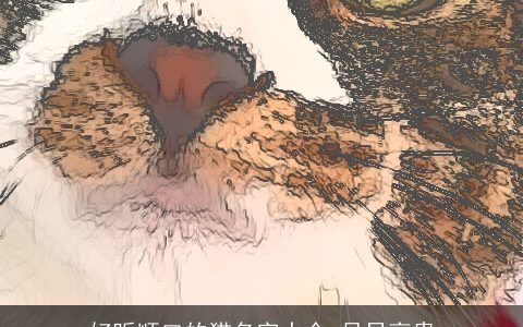 好听顺口的猫名字大全 尽显高贵