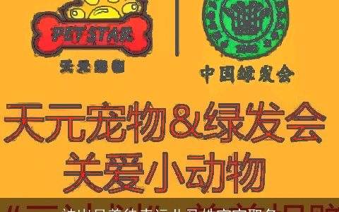 被岁月善待幸运儿马姓宝宝取名