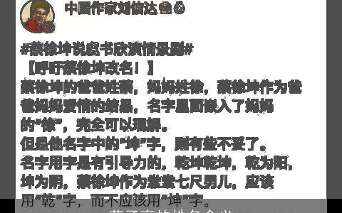 苑子高的姓名含义