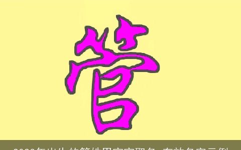 2023年出生的管姓男宝宝取名 有效名字示例