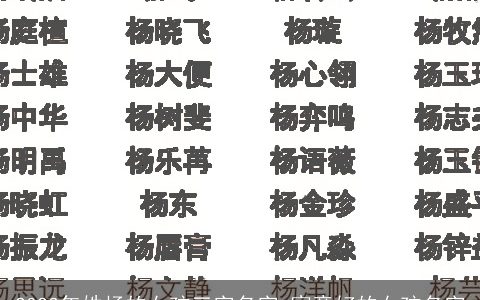 2024年姓杨的女孩三字名字 寓意好的女孩名字