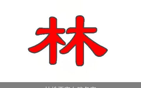 林姓两字女孩名字