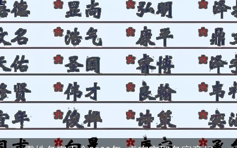 雷姓名字大全2024年 龙宝宝取名寓意好