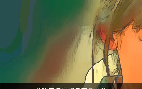 陆巧芸怎样测名字多少分