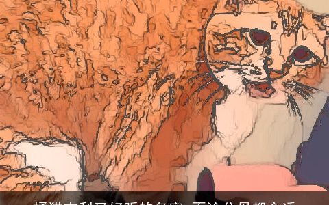 橘猫吉利又好听的名字 不论公母都合适