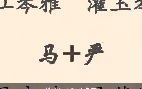 姓嵇的女孩的名字