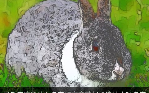 属兔应该取什么名字好寓意前程似锦的小孩名字