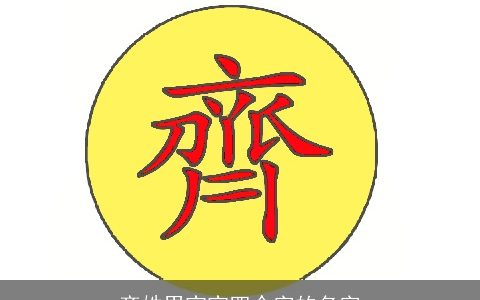 齐姓男宝宝四个字的名字