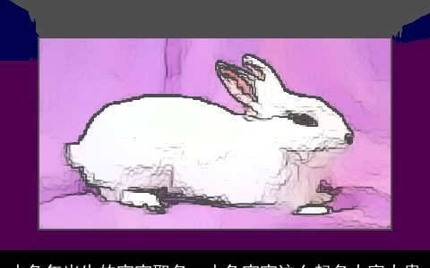 水兔年出生的宝宝取名  水兔宝宝这么起名大富大贵