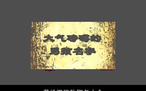 黄姓双胞胎取名大全