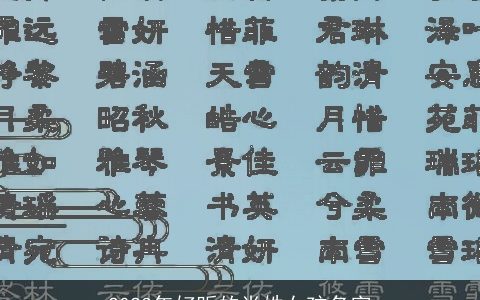 2023年好听的肖姓女孩名字