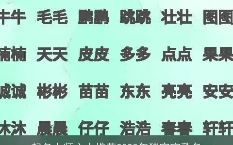 起名大师心水推荐2023年猪宝宝乳名