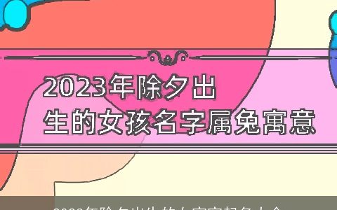 2023年除夕出生的女宝宝起名大全