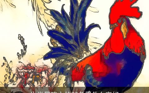 生肖属鸡人的起名用什么字好