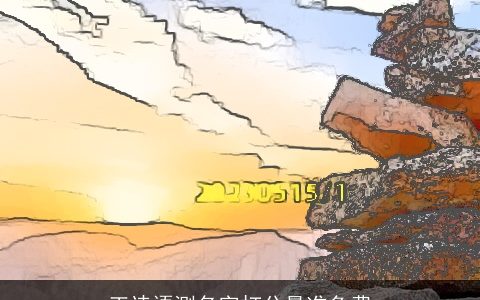 王诗语测名字打分最准免费