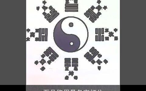 石品悠周易名字打分